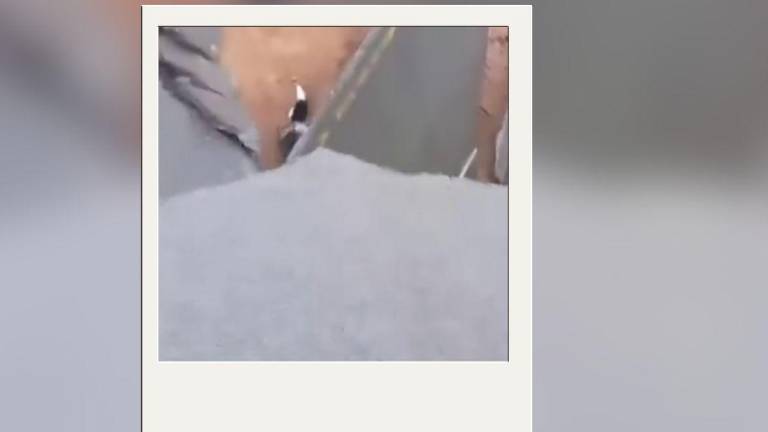 Mujer cayó a un socavón.