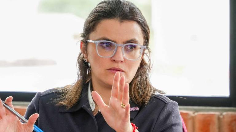 María José Pinto informó que ha dispuesto 'un análisis profundo e inmediato' del sistema de salud