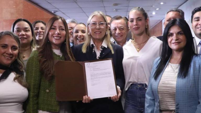 La legisladora presentó su reforma junto a la bancada de Acción Democrática Nacional (ADN).