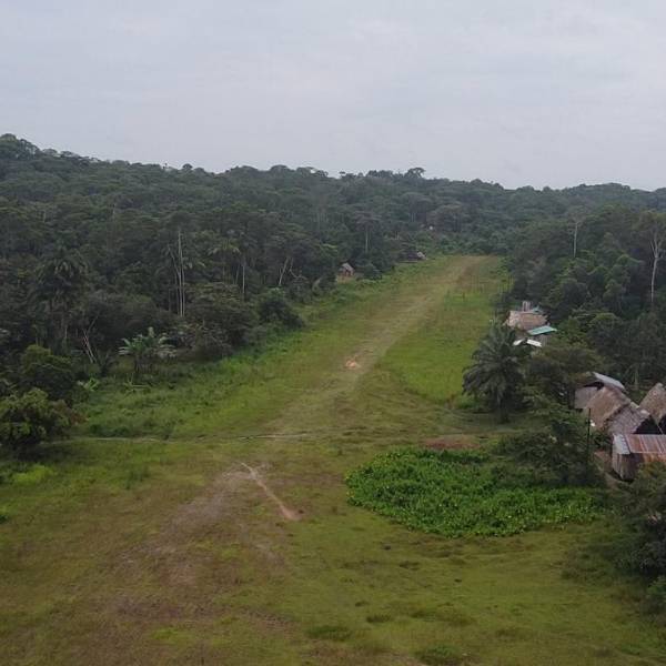 Especies exóticas, el nuevo botín del crimen organizado en Ecuador – Vistazo