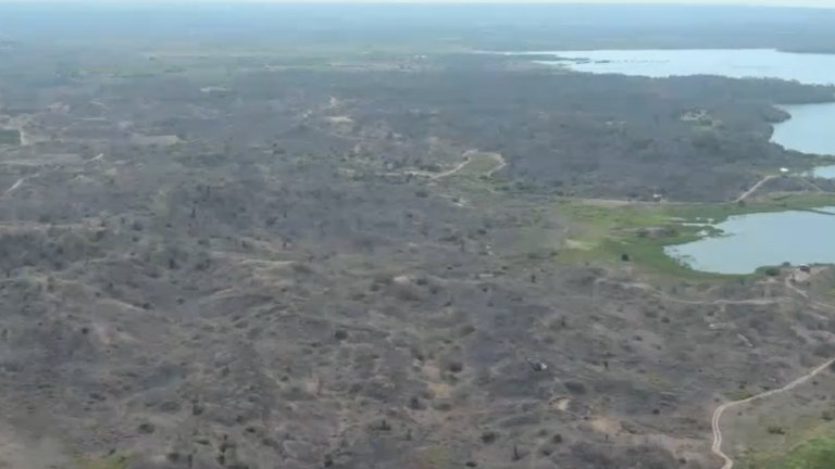 Venta irregular de 93 hectáreas en La Libertad.