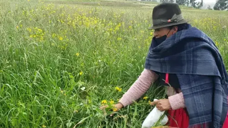 Conafips destinará USD 155 millones en créditos para agricultores y jóvenes emprendedores