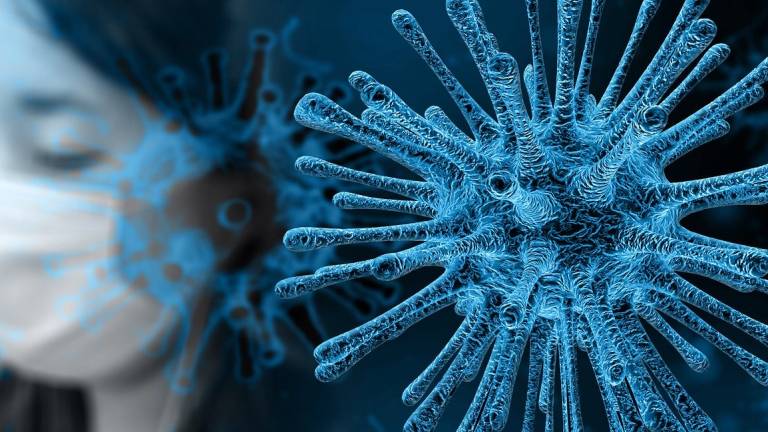 ¿Ha perdido agresividad el Coronavirus?