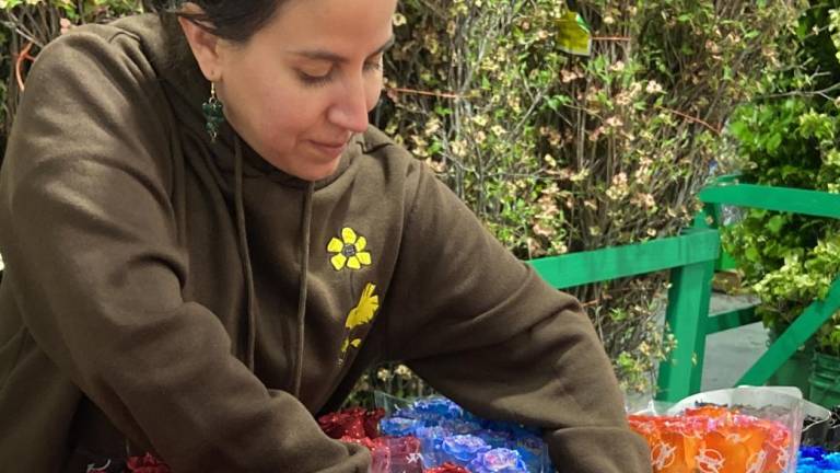 Así se exportan las flores ecuatorianas por el Día de la Madre a EE.UU.