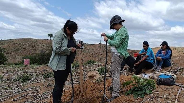 ¿Pueden los microorganismos del suelo mejorar la agricultura en Ecuador?
