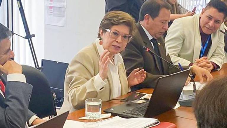Ministra de Trabajo denuncia que en CNT hay sueldos que oscilan los 8 mil dólares
