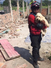 Los animalitos rescatados bajo los escombros del terremoto