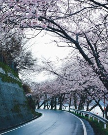 La belleza escondida en los rincones de Japón