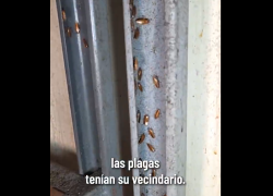 Arcsa advirtió que las plagas “tenían afán en este local de Durán”.