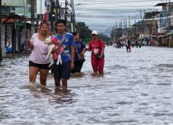Emergencia por lluvias en Ecuador: ¿Cómo proteger a tu mascota?