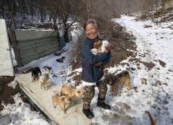 Su nombre es Jung Myoung Sook y ha pasado durante 26 años rescatando perros.