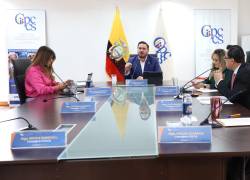 El Consejo de Participación Ciudadana podría eliminarse tras el referéndum y consulta popula.