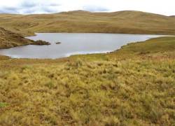 Fotografía de un páramo cercano al área en donde se prevé llevar a cabo la extracción minera.