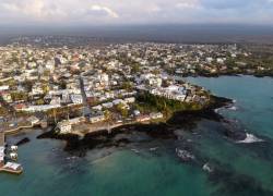 Galápagos se recupera: recibe en primera mitad de 2022 casi tantos turistas como todo 2021