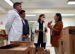 La vicepresidenta de la República, María José Pinto, verificando la llegada de medicamentos.