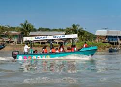 El Aquabus Escolar transporta diariamente a sus escuelas a 20 niños y niñas de la comuna Punta de Piedra.