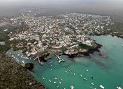 Ecuador realiza con Galápagos la mayor conversión de deuda por naturaleza de la historia: ¿en qué consiste?