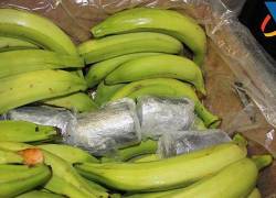 Aduana holandesa incauta 1,6 toneladas de cocaína en contenedores procedentes de Ecuador