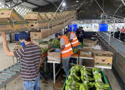 Los productores latinoamericanos de banano buscan un precio justo por la fruta en los mercados internacionales.