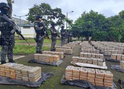 Dictan prisión contra un hombre tras el hallazgo de cerca de 22 toneladas de cocaína, en una finca de Vinces