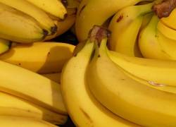 El principal destino del banano ecuatoriano es la Unión Europea.