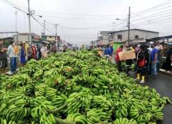 Los productores de banano piden que el presidente, Guillermo Lasso, escuche sus pedidos.
