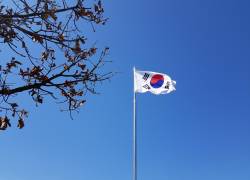 Imagen de la bandera de Corea del Sur.