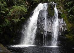 Unos 4.500 mineros ilegales operarían dentro del Parque Nacional Podocarpus