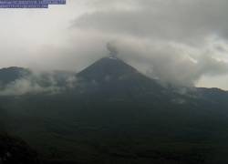 El volcán Reventador, en la provincia de Napo, emitió ceniza este domingo.