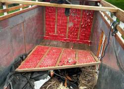 El ministro John Reimberg compartió fotos de los explosivos incautados en Ibarra.