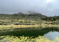 Con la declaratoria, se preservarán 1223 hectáreas de páramos, humedales, herbazales y arbustales, sus servicios ambientales y fuentes de agua para Cuenca.