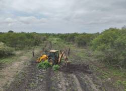Con una excavadora se realizó la inhabilitación de una pista clandestina con una extensión de 1 ¹/² Km en la Isla Puná.