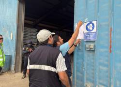 Caso Isla Puná: personal del Municipio de Guayaquil activa investigación por presunta muerte de perros