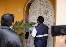 Administrador de ciudadela Las Garzas deberá responder por tala antitécnica de árboles