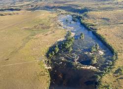 Vista aérea de la sabana Rupununi en el oeste de Guyana, cerca de la frontera con Brasil y Venezuela, tomada el 12 de abril de 2023. El Esequibo es un área en disputa rica en petróleo de 160.000 kilómetros cuadrados administrada por Guyana pero que los venezolanos votaron para reclamar como suya en un referéndum.