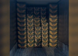 'Cool Emerald' es el nombre del barco que transportaba un contenedor de bananas con droga.