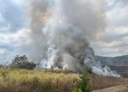 Incendio en Vía la Costa.