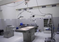 En los casos de muerte violenta, el cadáver le pertenece al Estado. Los familiares adquieren derechos solo después de practicada la autopsia.