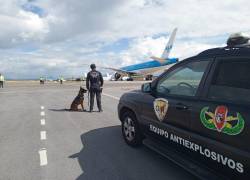 Un uniformado que está de pie junto a un perro de la Policía observa a distancia el avión dentro del que se reportó que habría una supuesta bomba.