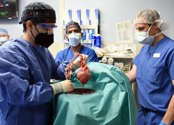 Foto: Facultad de Medicina de Maryland