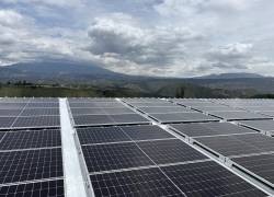 El hotel Wyndham Quito Airport instaló 559 paneles con el objetivo de minimizar su huella de carbono.