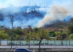 Video: incendio forestal en Cerro Azul habría consumido unas 33 hectáreas