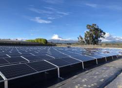 Central fotovoltaica ubicada en la Planta de Provefrut.