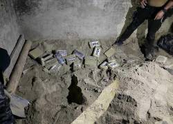 La droga estaba oculta en una caleta subterránea ubicada en un área destinada a la crianza de cerdos.