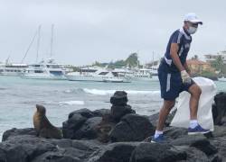La jornada se desarrolló por el Día Internacional de Limpieza de Playas.