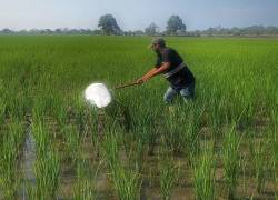 Gobierno anuncia crédito 7x7 de BanEcuador.