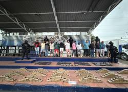 26 personas detenidas, quienes estaban implicadas en la seguridad, logística y contaminación de la carga para el tráfico de sustancias sujetas a fiscalización.
