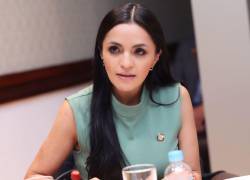 La segunda vicepresidenta de la Asamblea Nacional, Yeseña Guamaní, en sesión con el CAL.