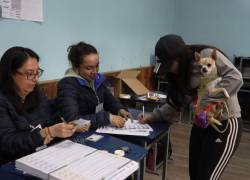 Fotografía de la primera consulta popular planteada por el Gobierno de Daniel Noboa, en abril del 2024.