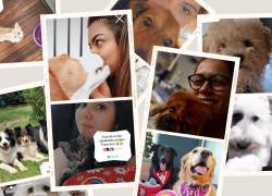 Las mascotas y sus dueños responden al papa Francisco con emotivo reto de Instagram.